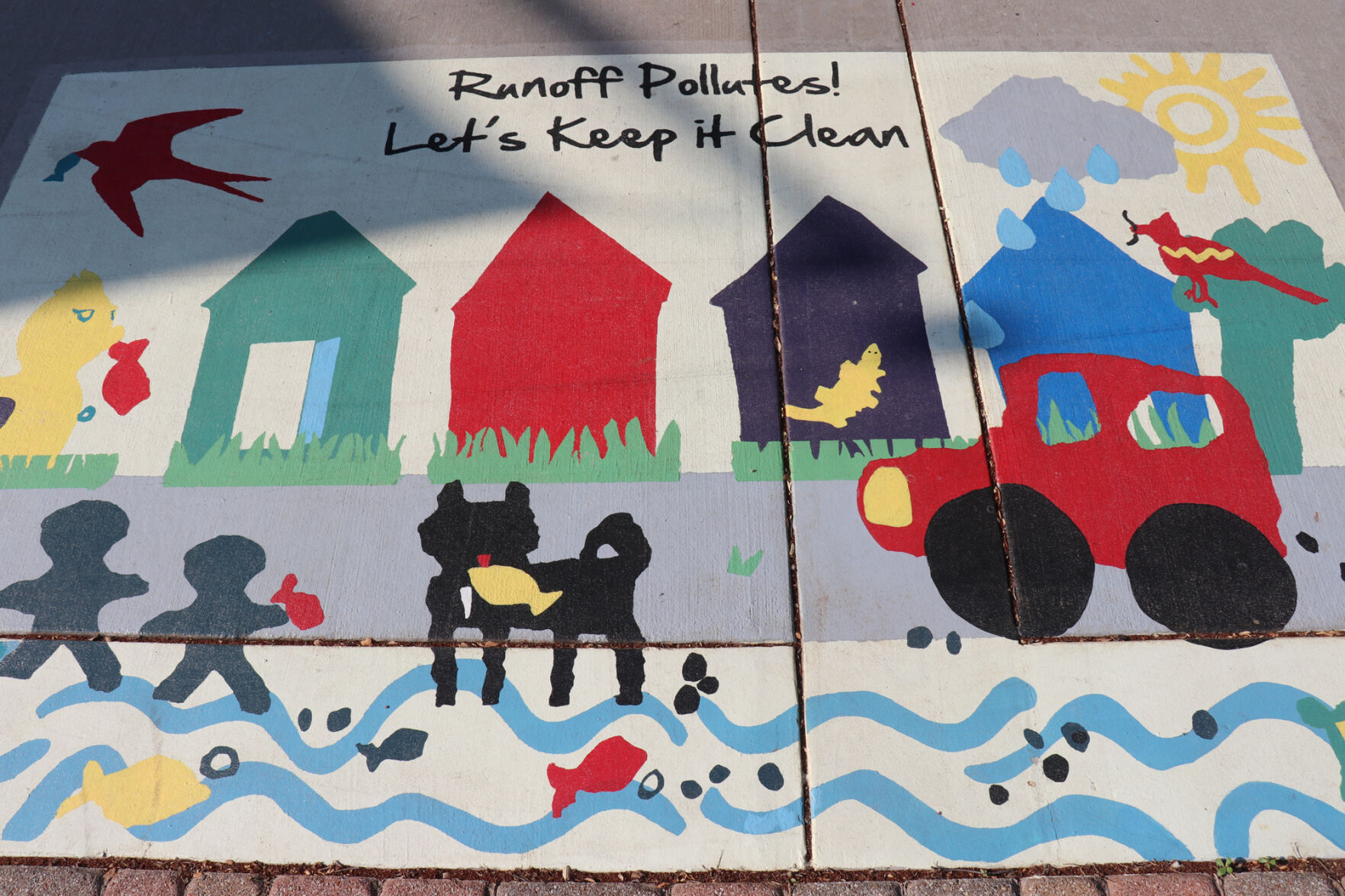 Runoff Pollutes